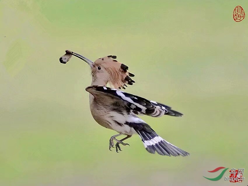 E1C75056-A69D-4E8E-95EF-898DBAEAA79C.jpeg