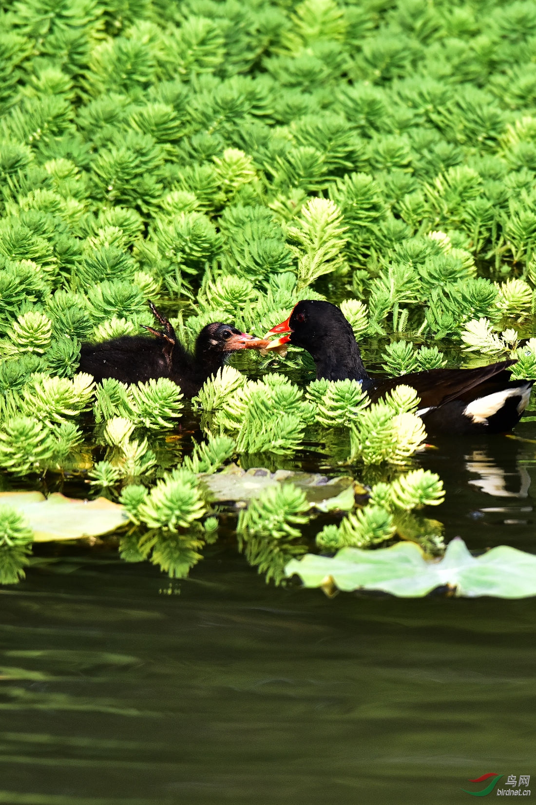 DSC_0804.JPG