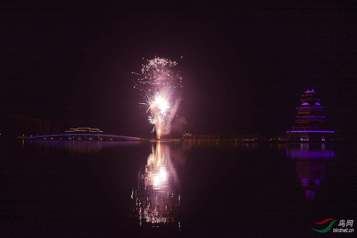 DSC_4988.JPG