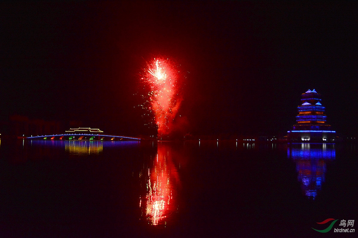DSC_4989.JPG
