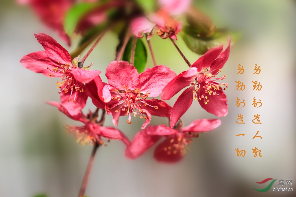 _MG_0002.jpg