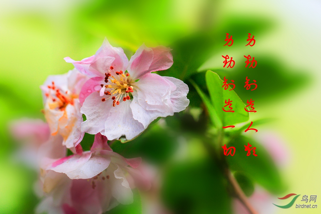 _MG_0014.jpg
