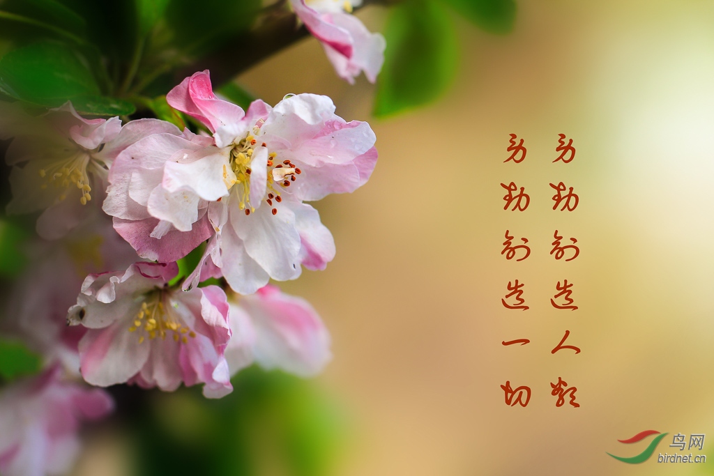 _MG_0011.jpg