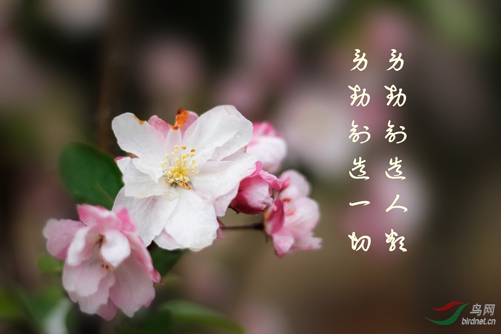 _MG_9830.jpg