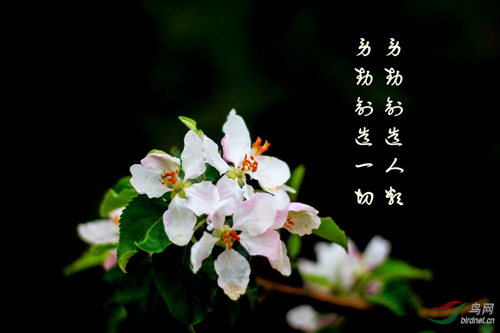 _MG_9887.jpg