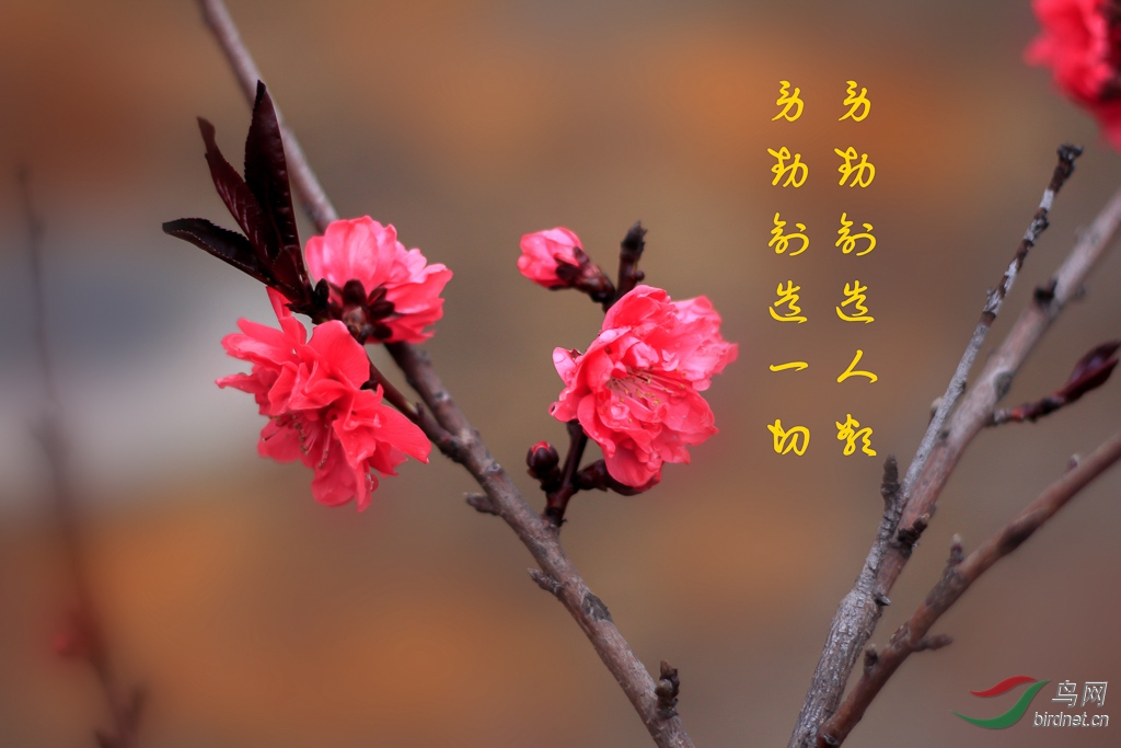 _MG_9876.jpg