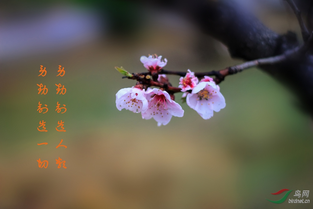 _MG_9893.jpg