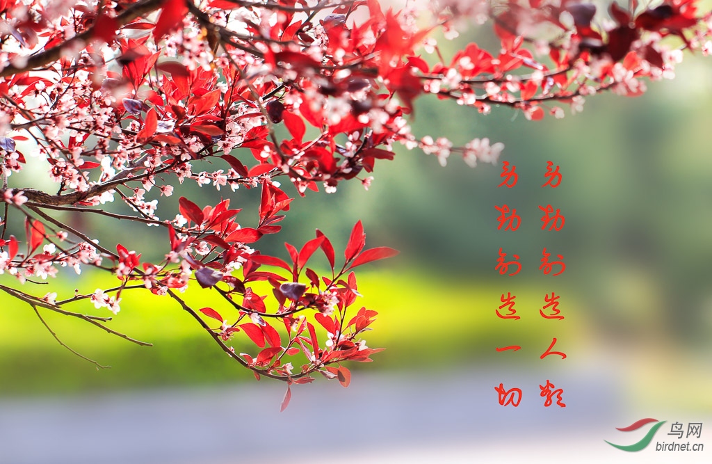 _MG_9947.jpg