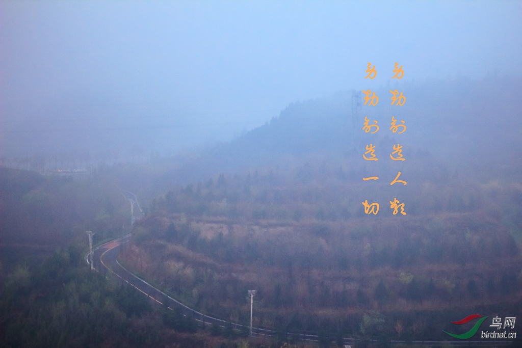 _MG_9930.jpg