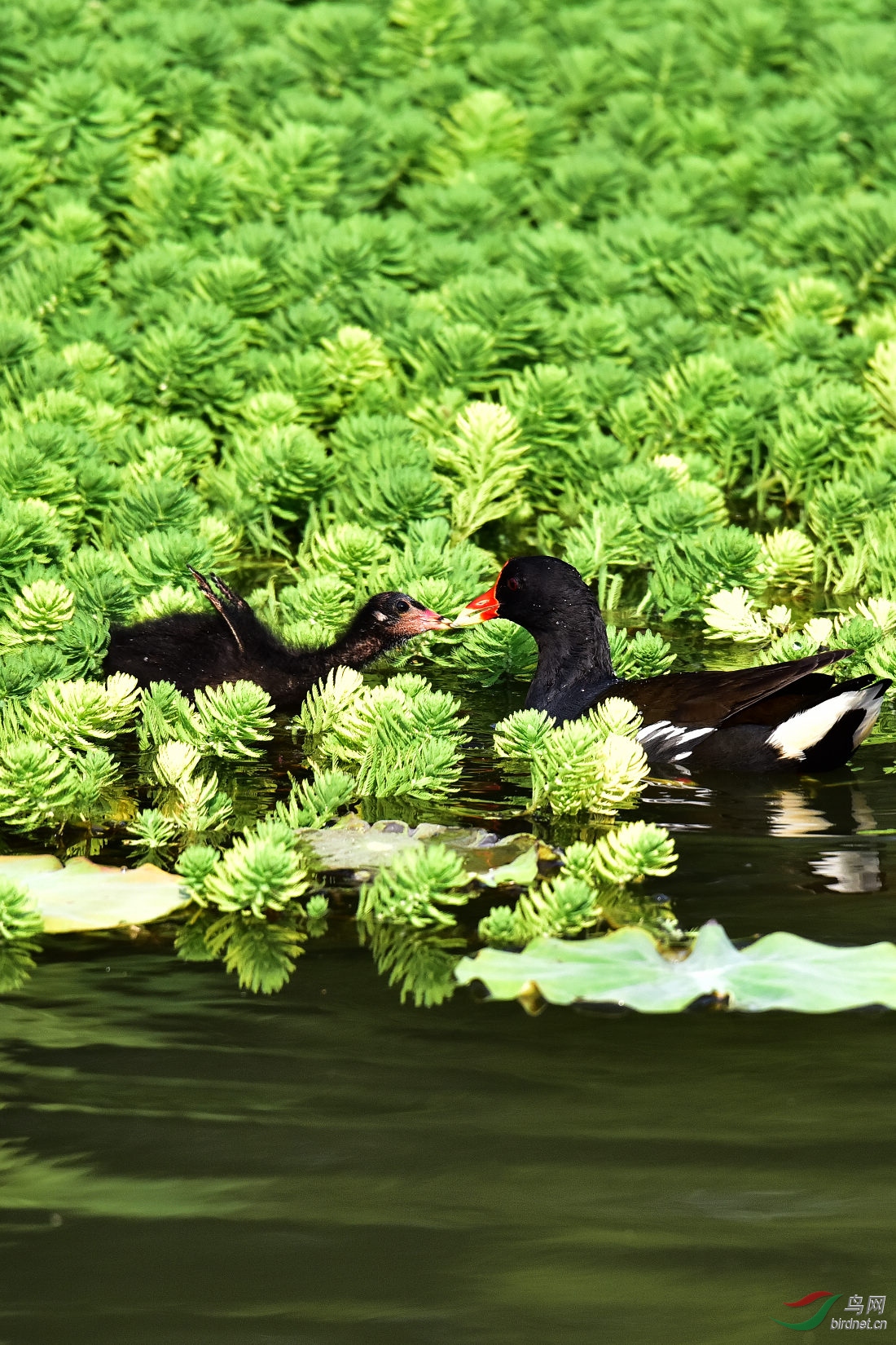 DSC_0807.JPG