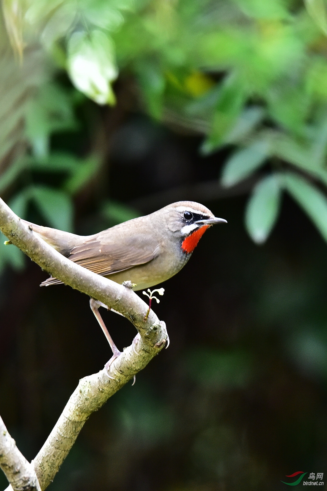 DSC_0406.JPG