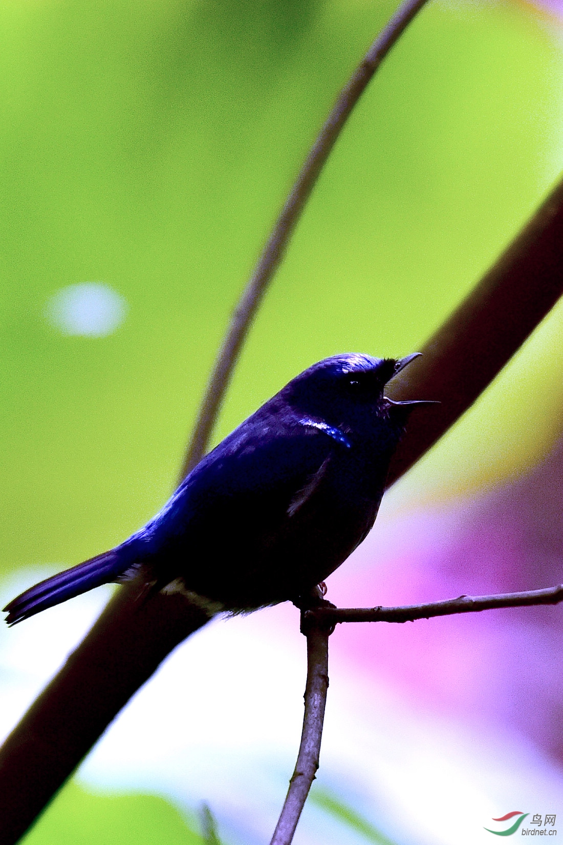 DSC_0409.JPG