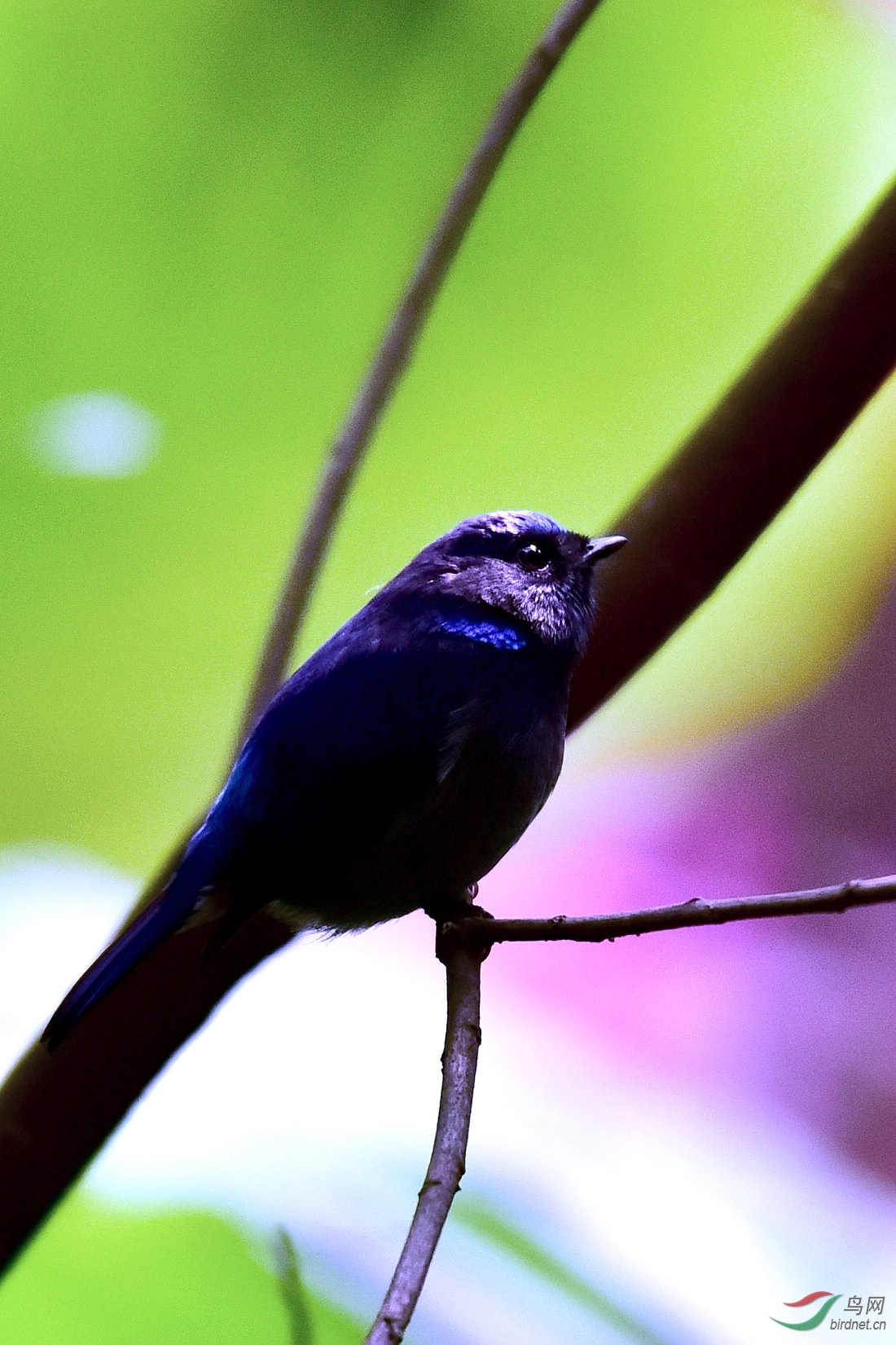DSC_0410.JPG
