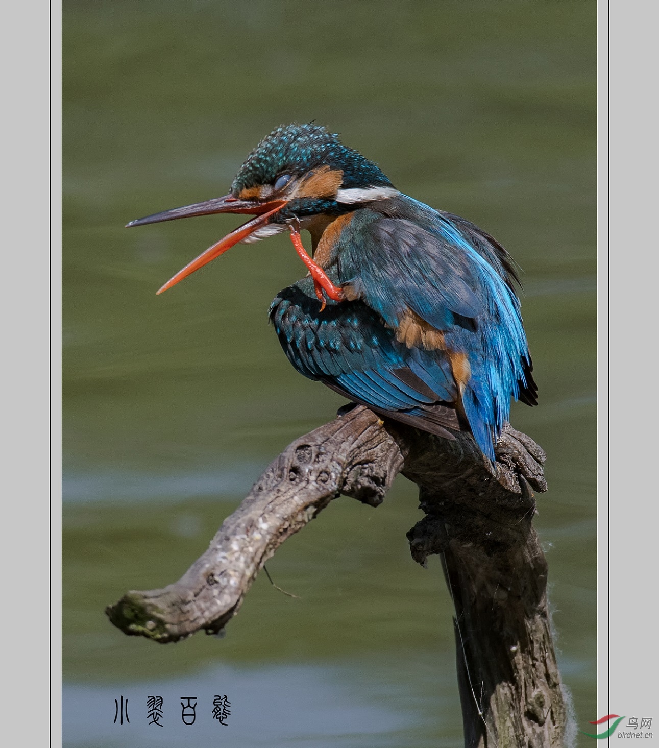 �����һ����Ч������������