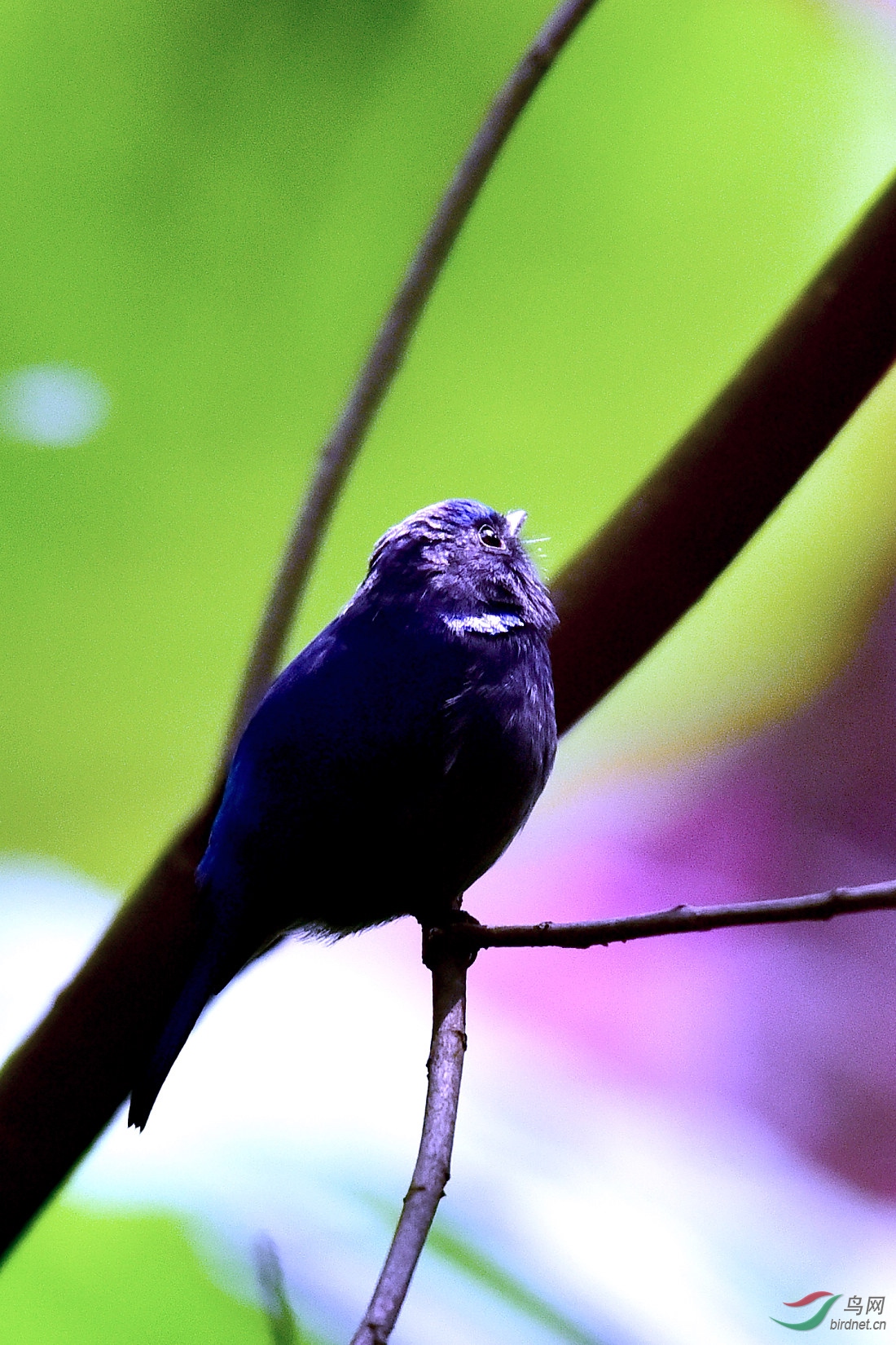 DSC_0413.JPG