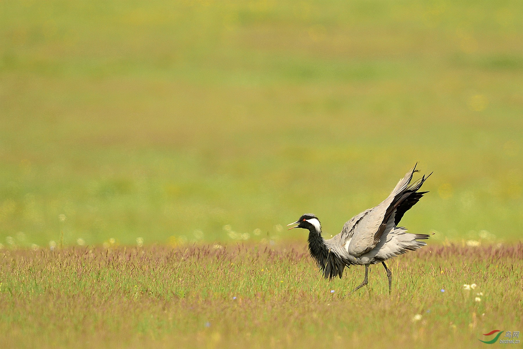 LYK_9551_����_����.jpg