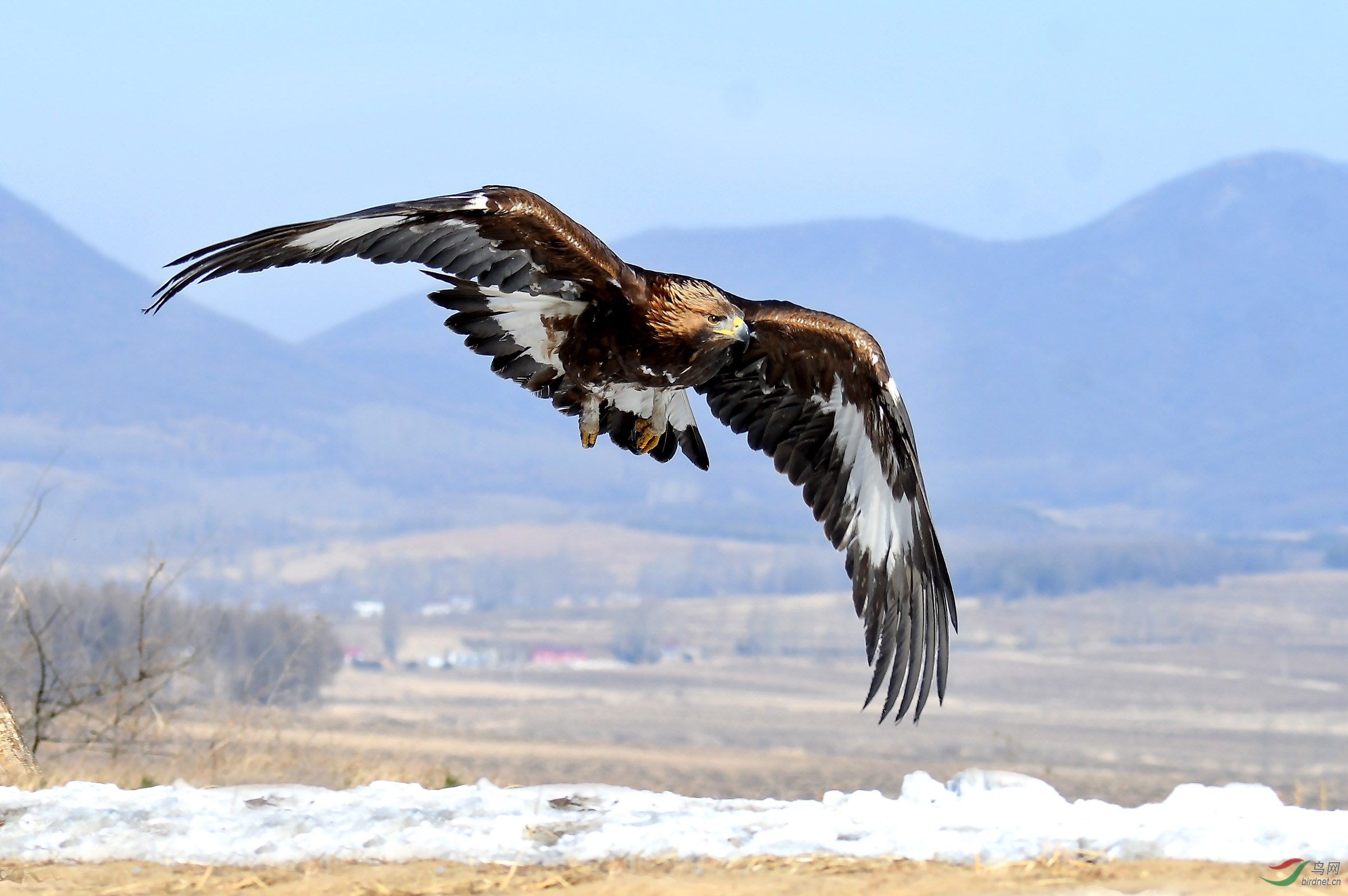 5.����Ŀ�꣨���5172AM.jpg