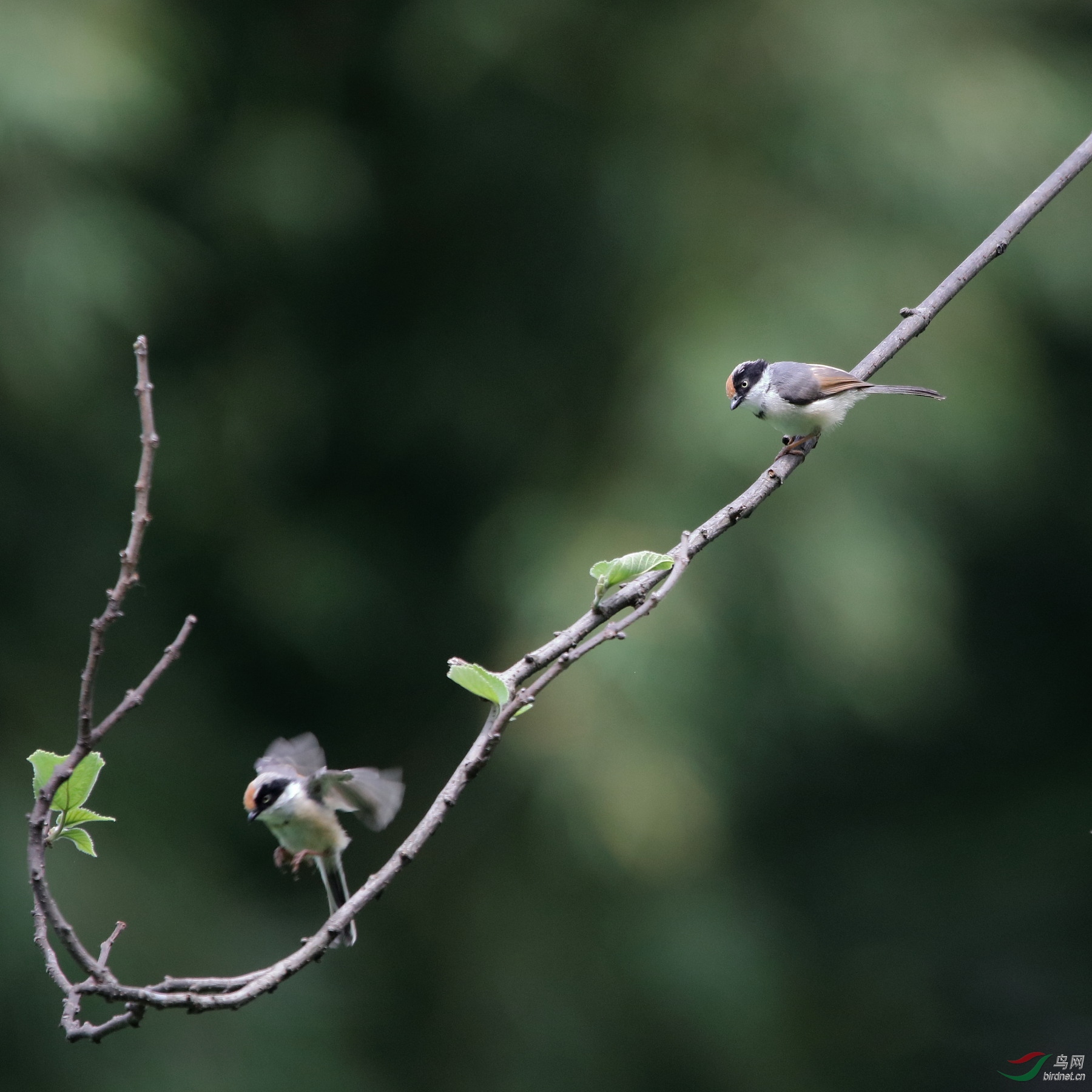 IMG_5000.JPG