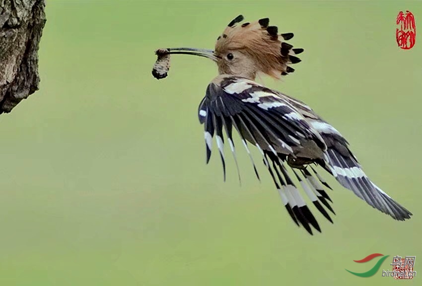 090B3A8F-8A9A-44B6-A5A4-10391104F84B.jpeg