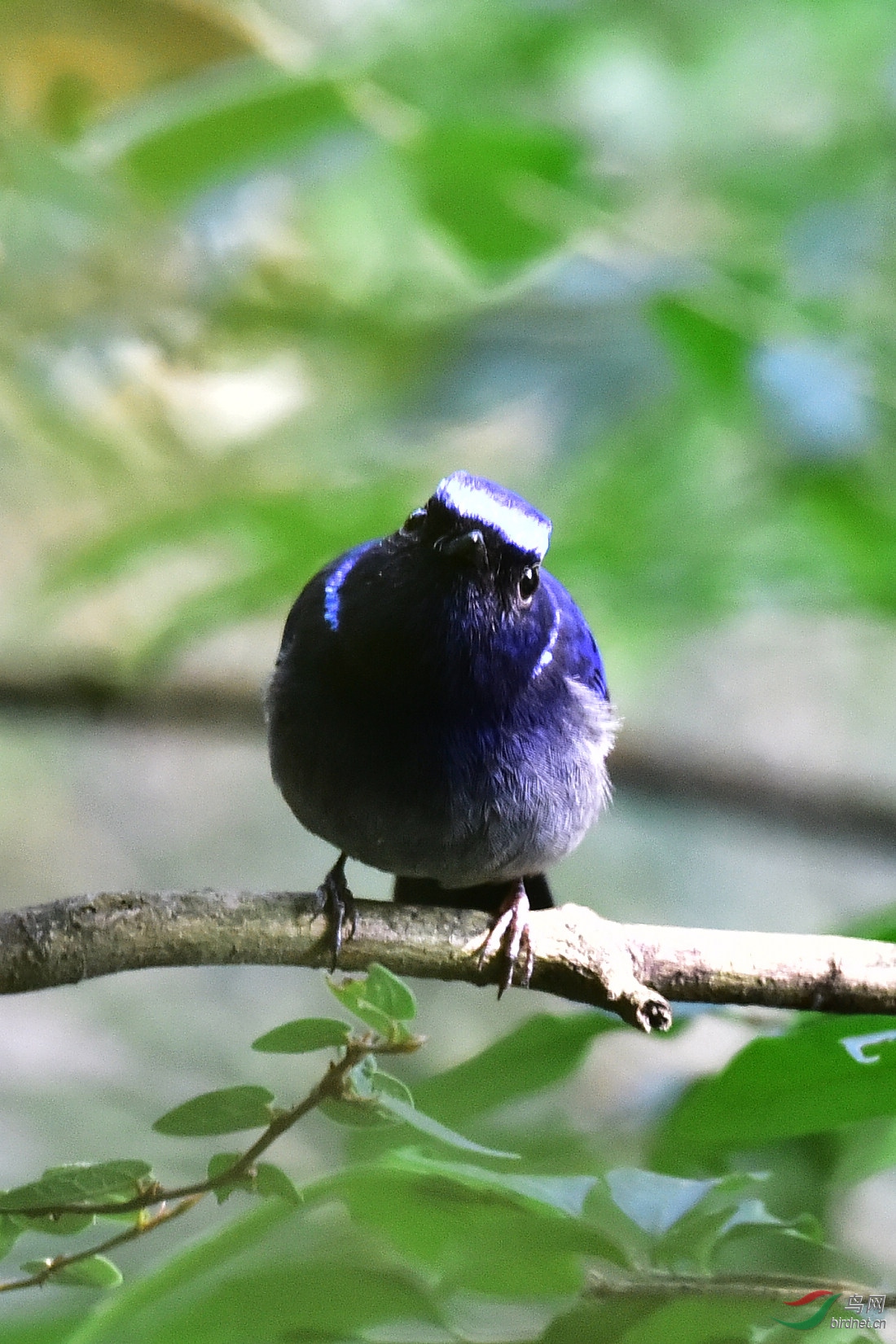 DSC_0429.JPG