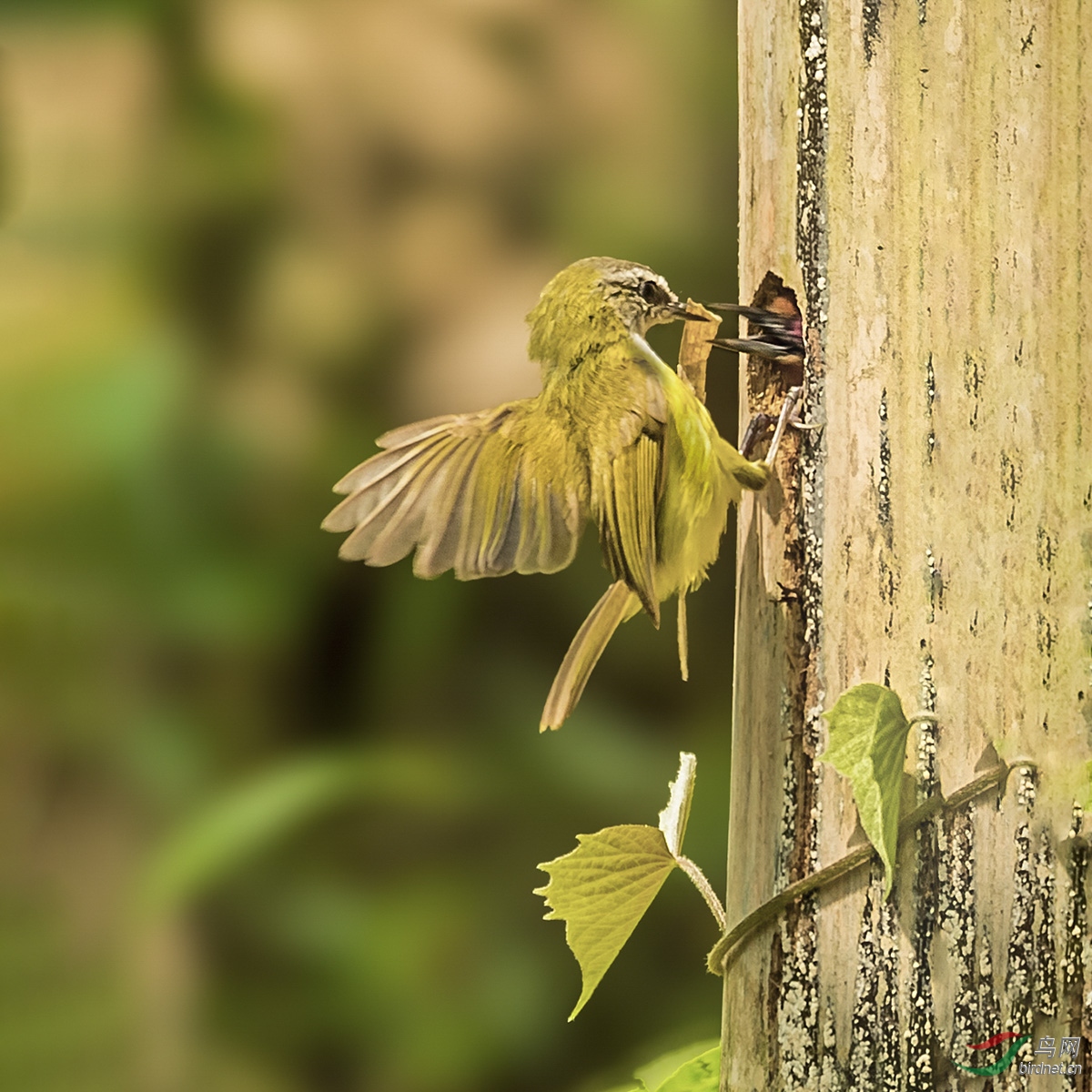 ͼ�ߣ����ڵ�������λ����֮�ͣ�ԭ���������ġ����ַ����Ƹ��Oݺ�����ǻƸ��OݺҲ����������¼����������� ...