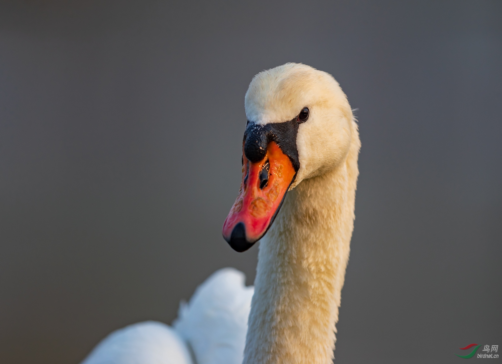 1DX_8529.jpg