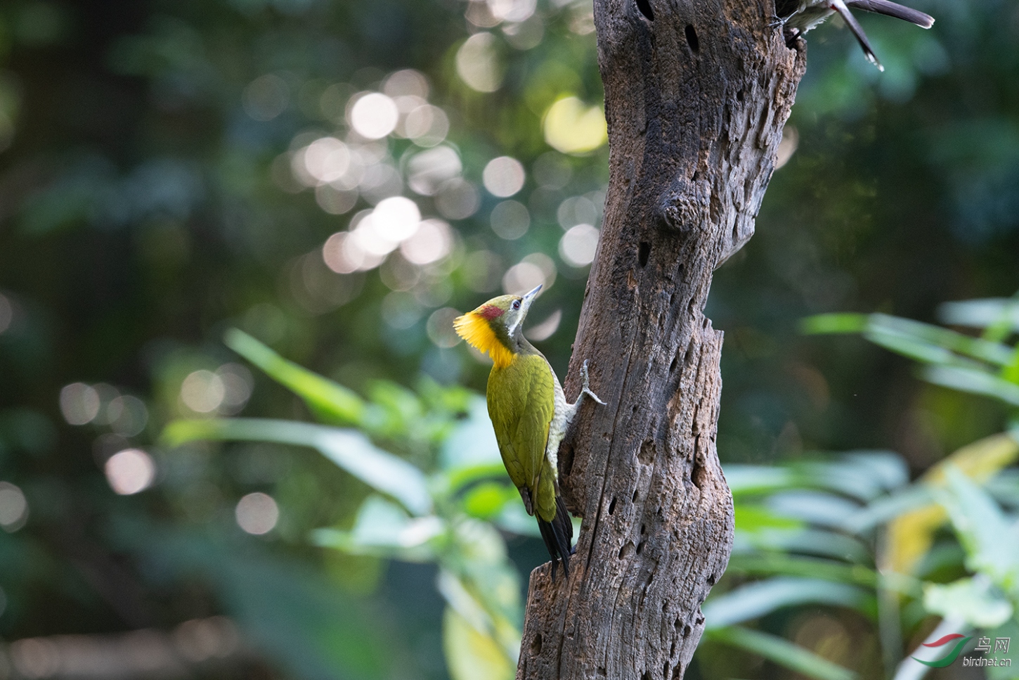DSC_0475.jpg