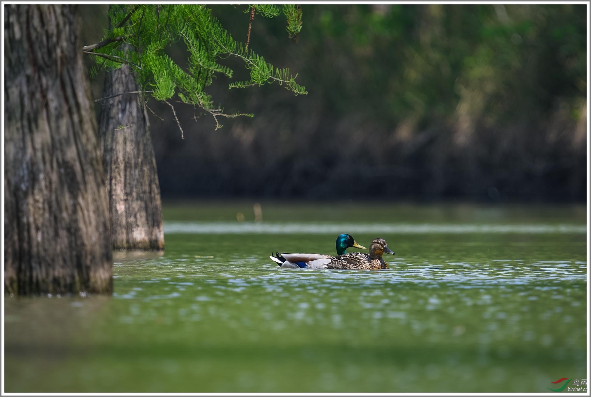 ��_XUX2823��Ϊ���ܶ���-1 2000.jpg