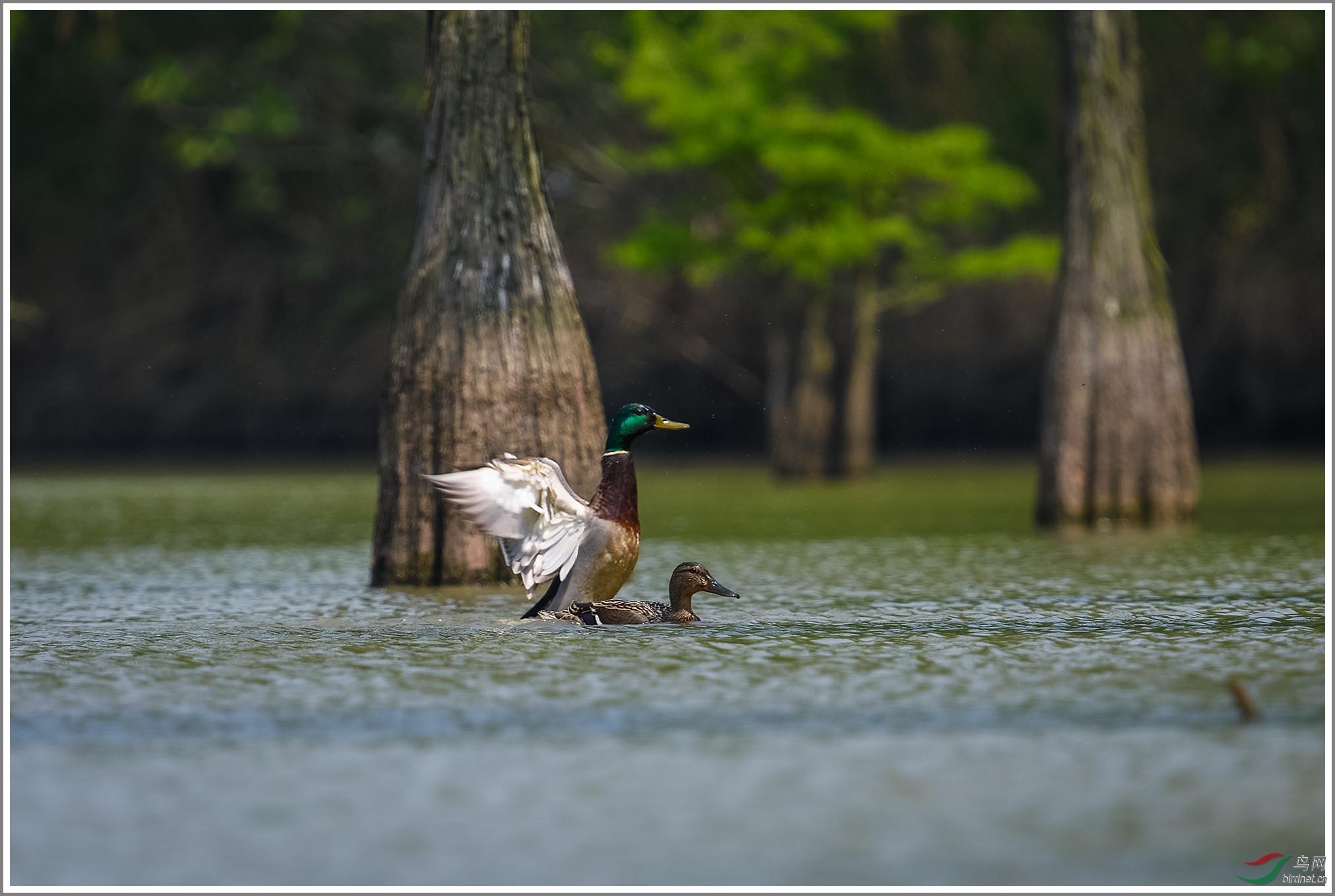 ��_XUX2838��Ϊ���ܶ���-1 2000.jpg