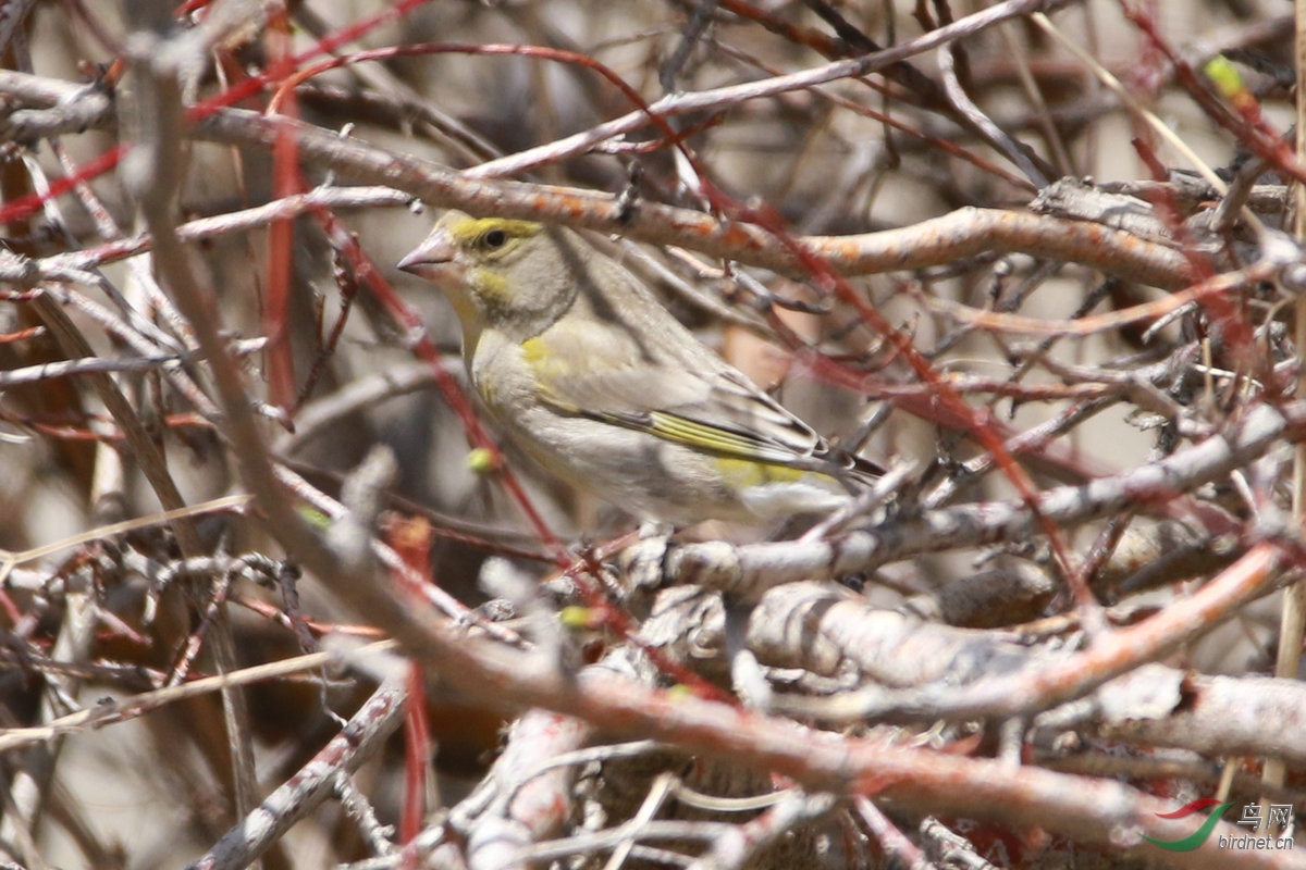 5��6��ŷ���ȸ��