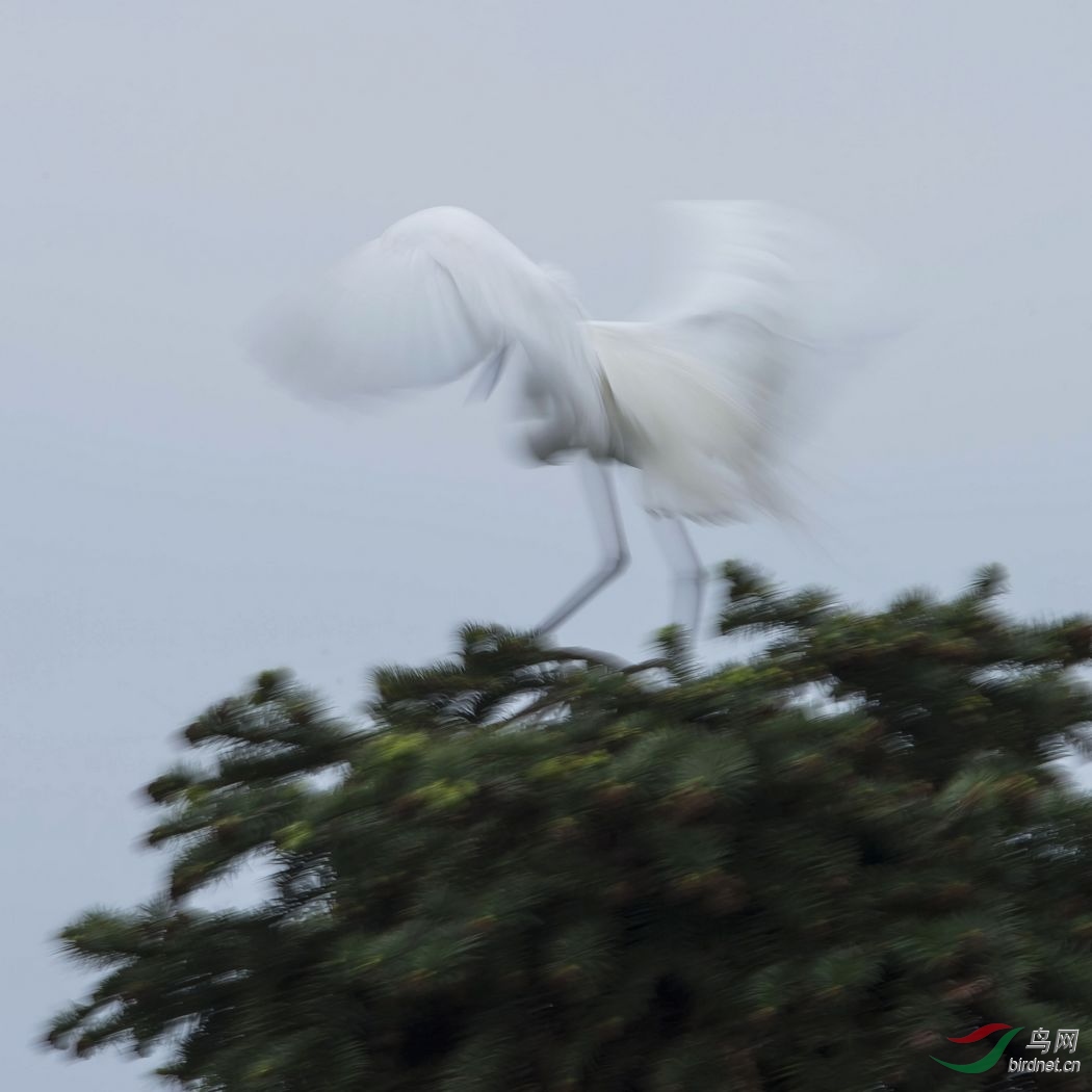 nEO_IMG_DSC_9642.jpg