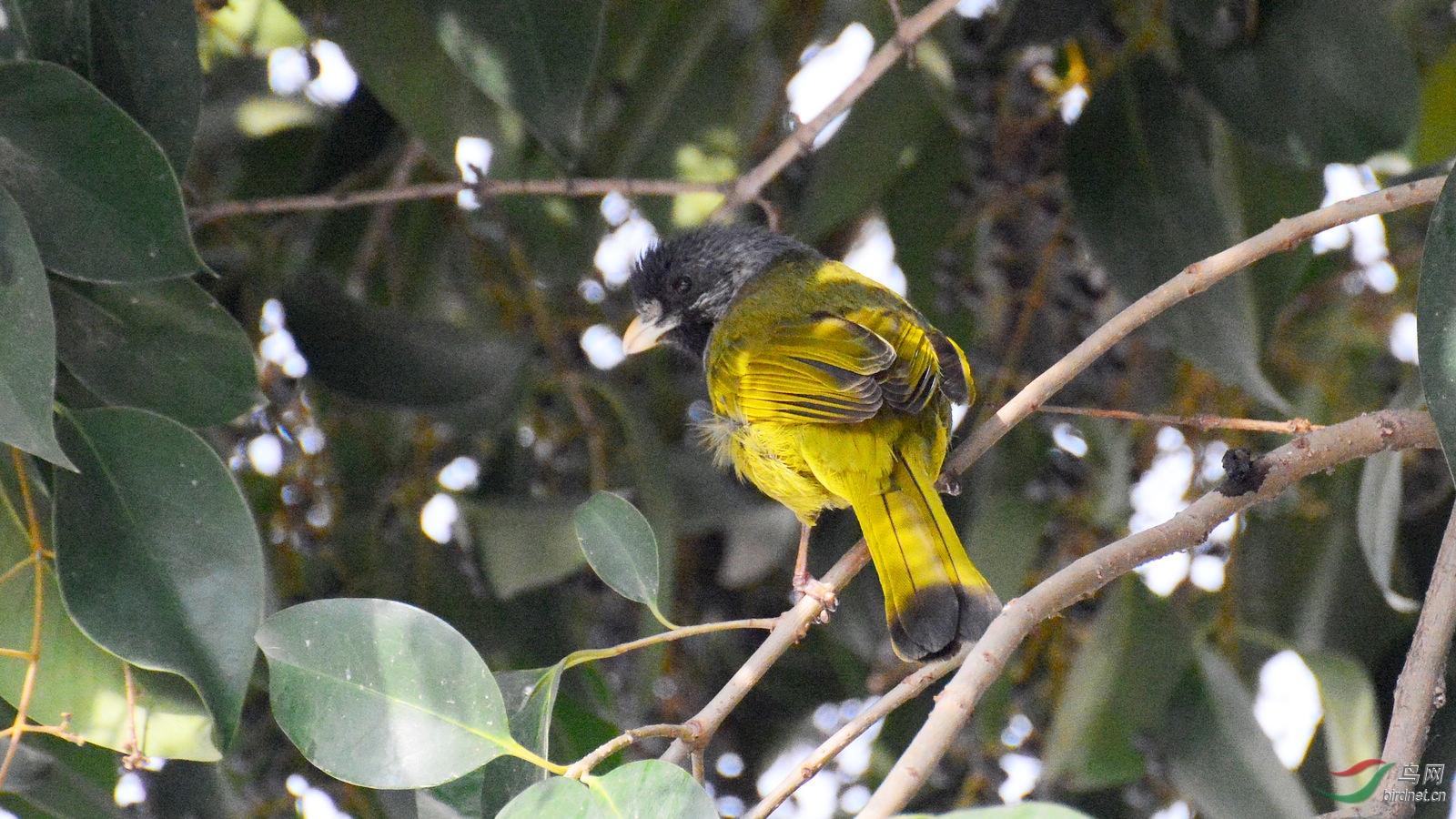 DSC_1454.JPG