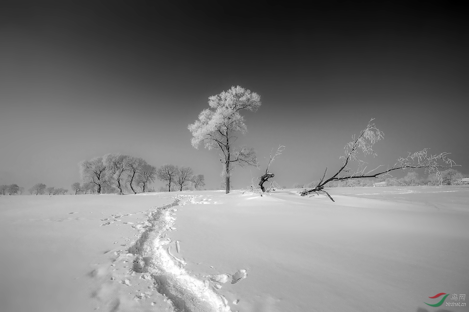 冬天荒山野岭图片图片