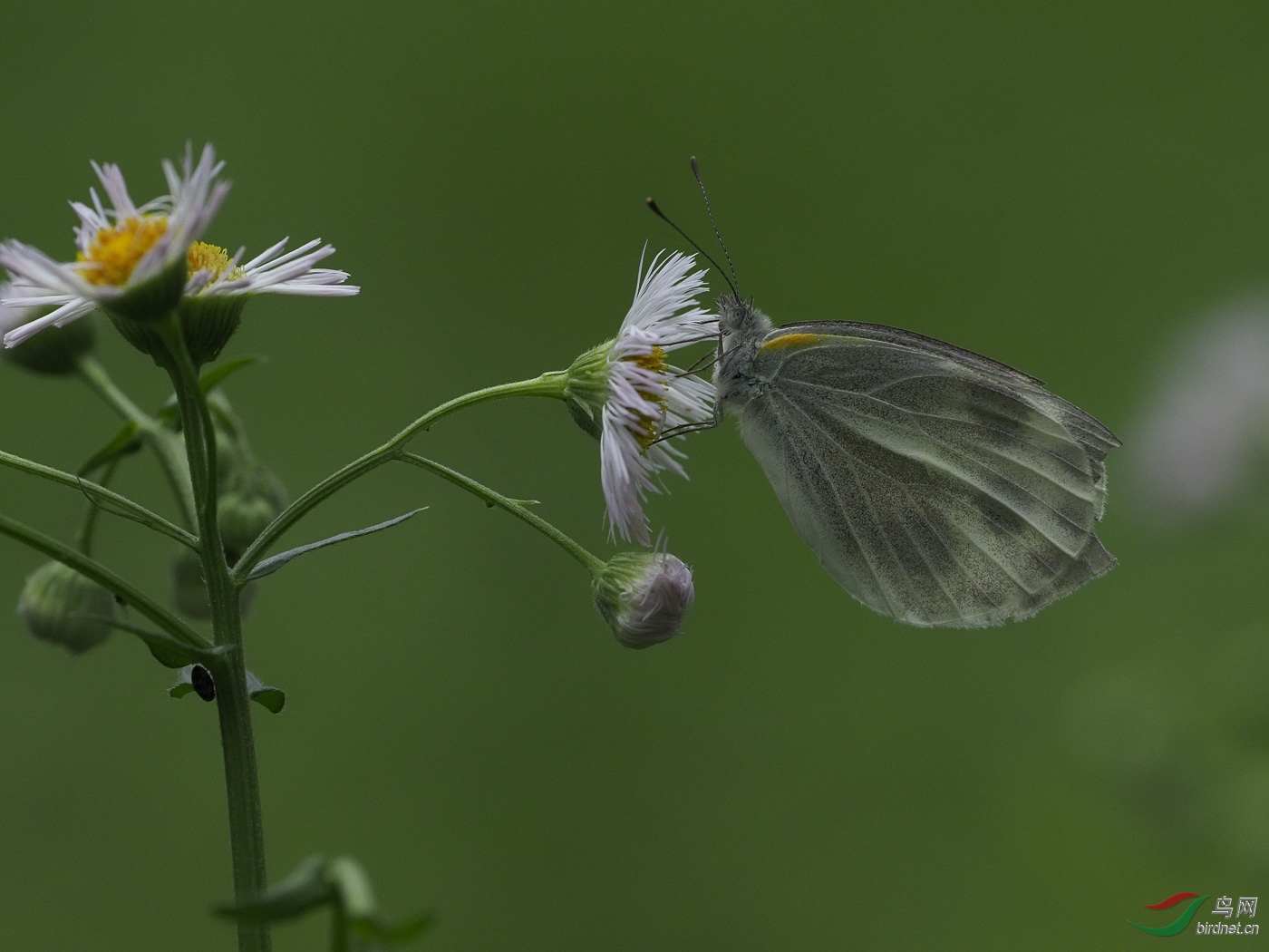 20190503-P5030300 (2).jpg