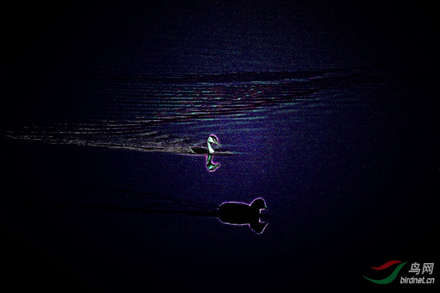 BW6I6314_����_����1_����1_����.jpg