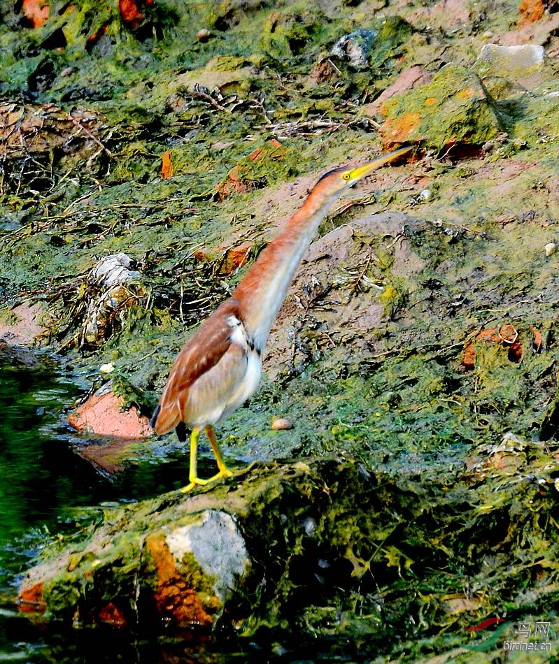 DSC_6317.JPG