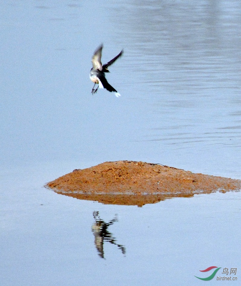 DSC_8815.JPG