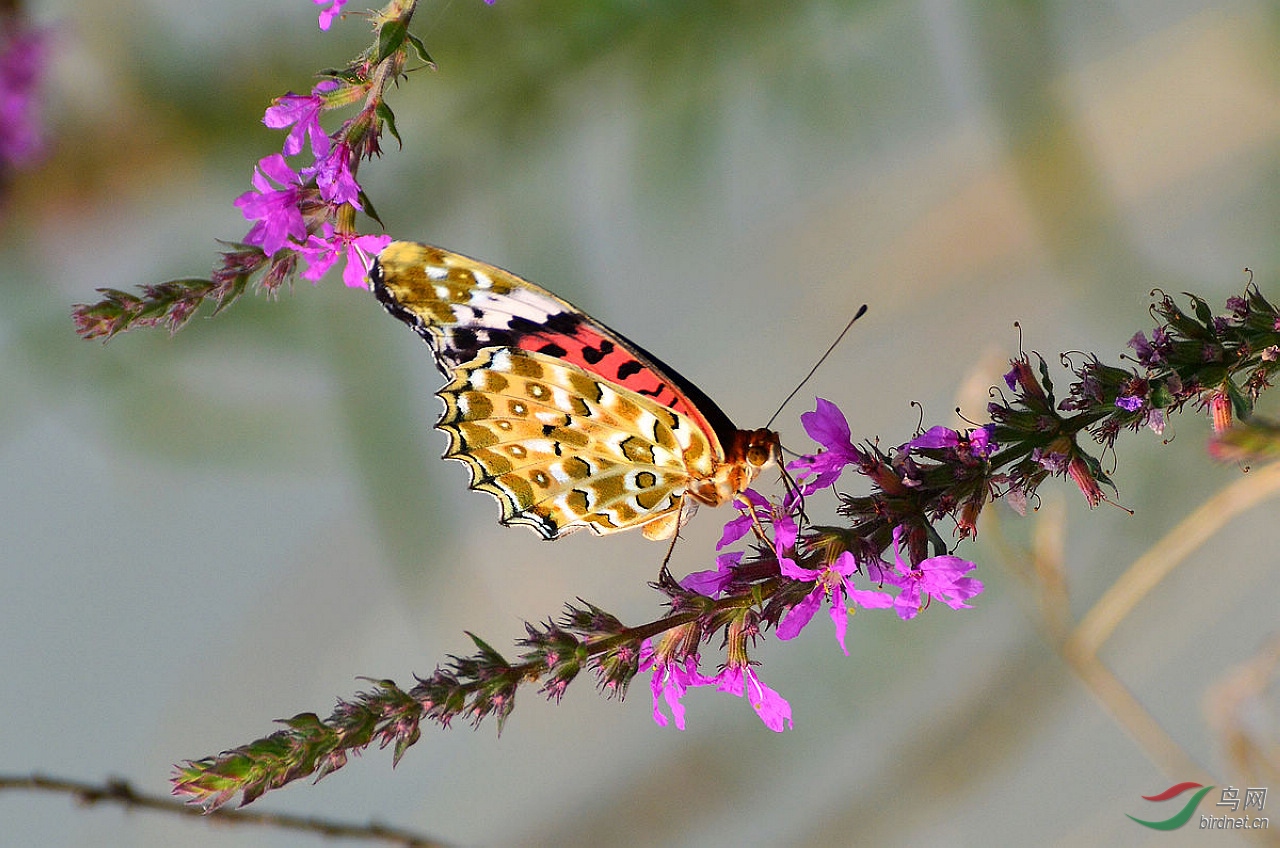 DSC_3949.JPG