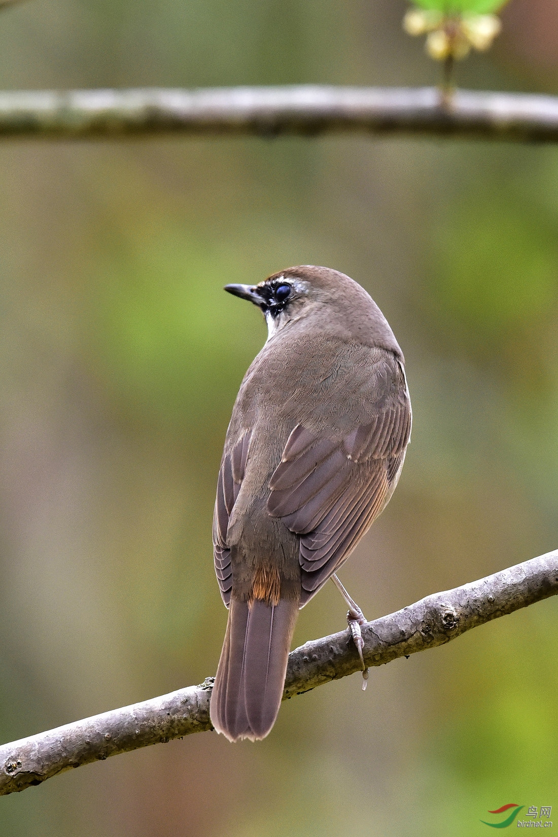 DSC_0460.JPG