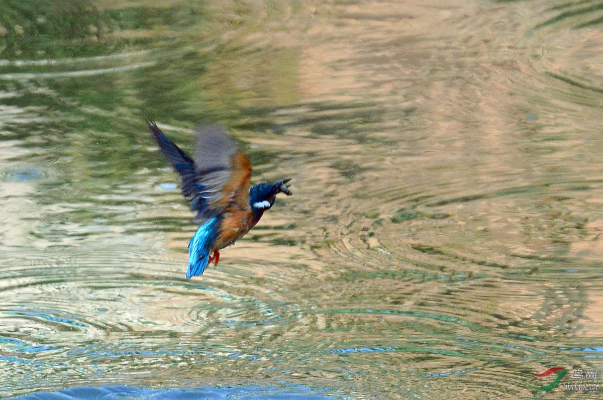 DSC_6624.JPG