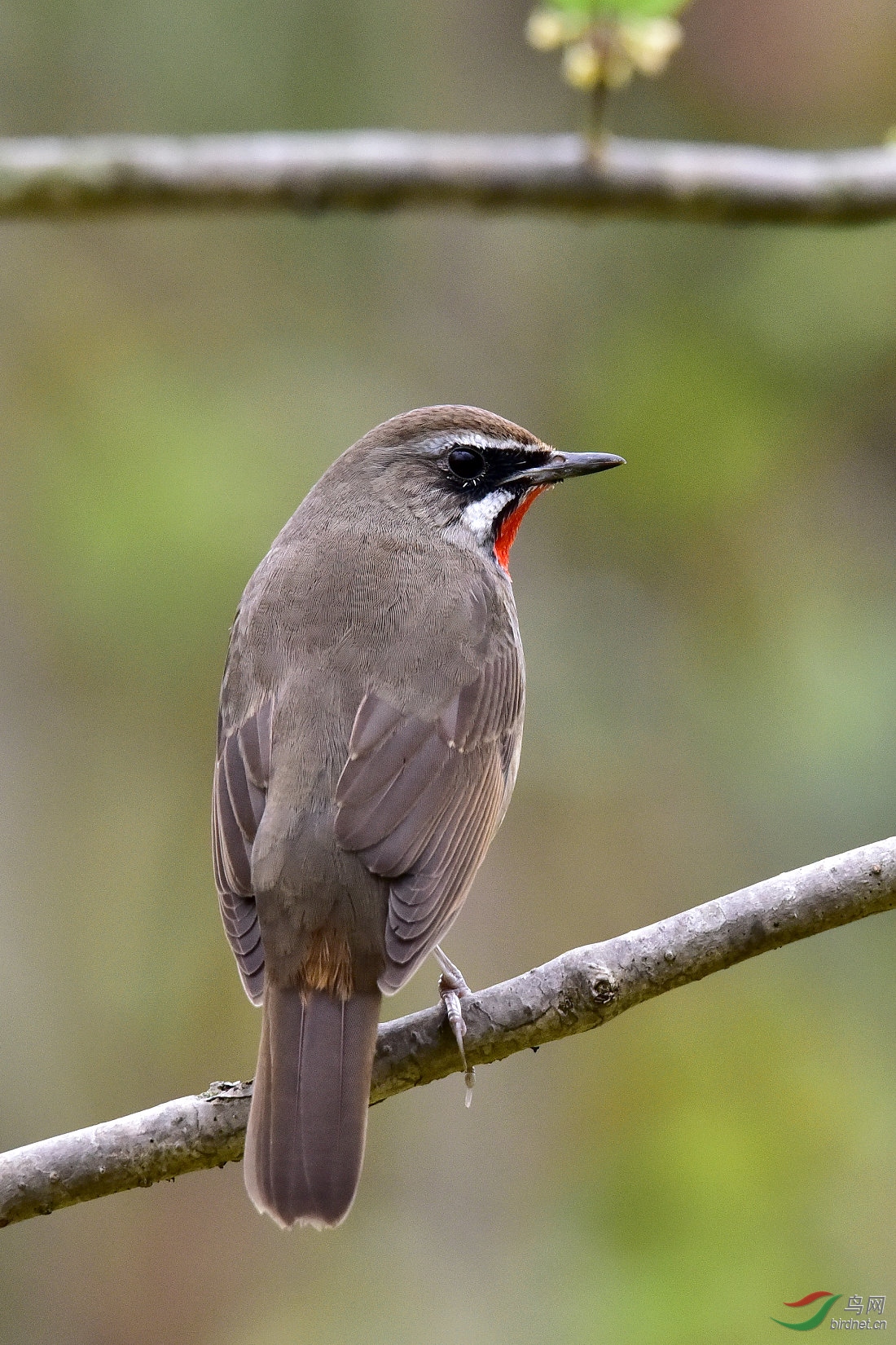DSC_0462.JPG