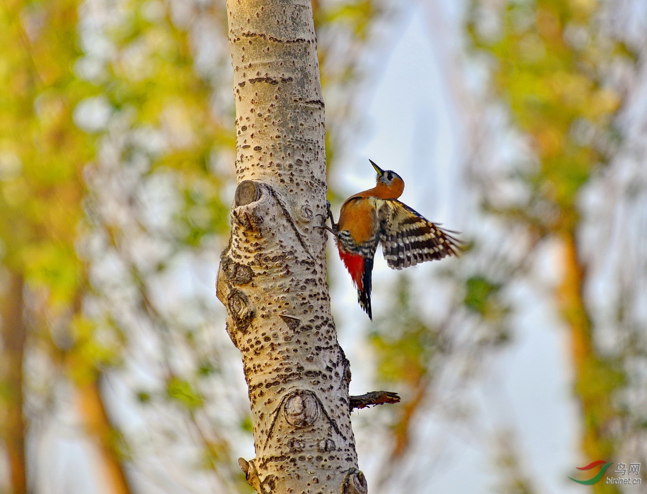 锦州 107_调整大小.JPG