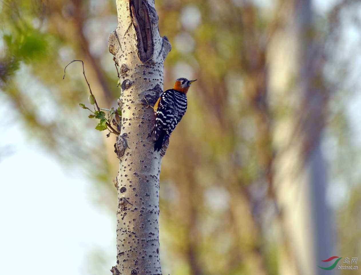 锦州 154_调整大小.JPG