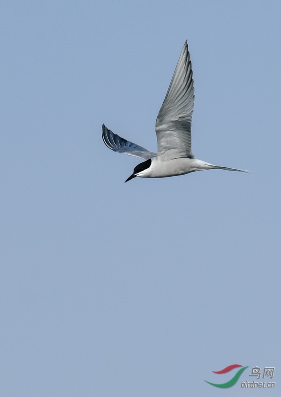 DSC_4465''.jpg