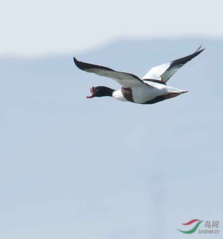 DSC_5324'.JPG