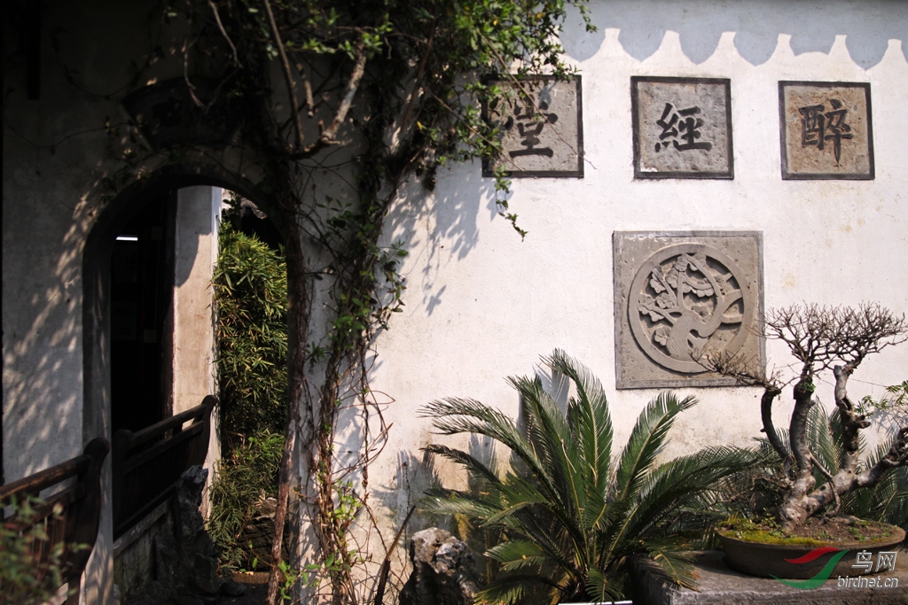 秀色醉人的西塘醉园