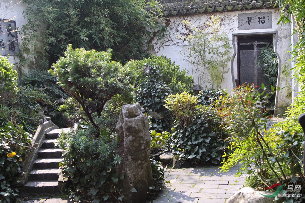 秀色醉人的西塘醉园