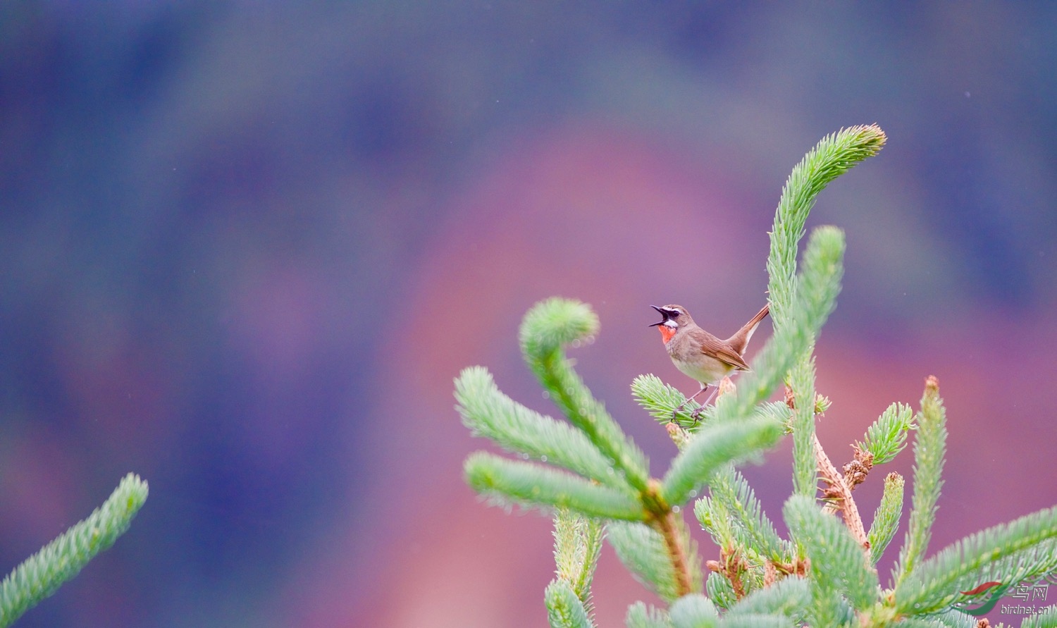 ������0 (49).jpeg