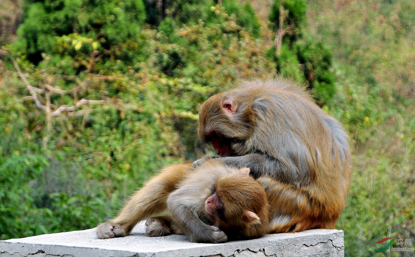 DSC_0442.JPG