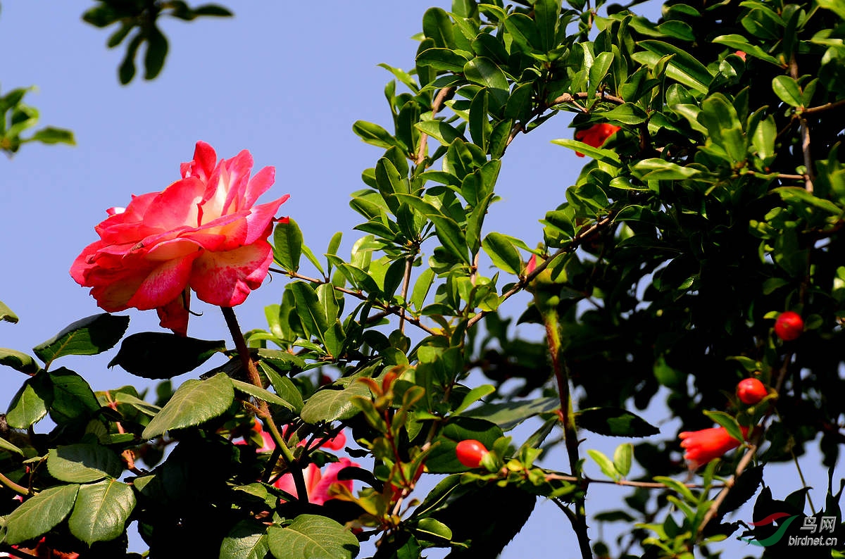 DSC_3458.JPG